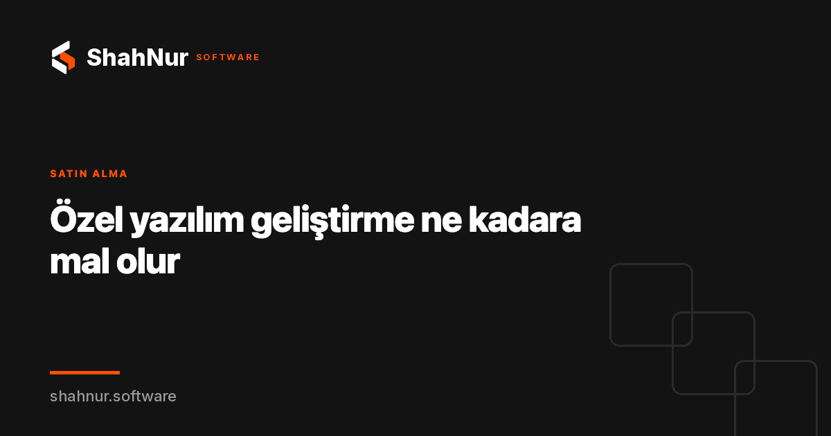 Özel yazılım geliştirme ne kadara mal olur